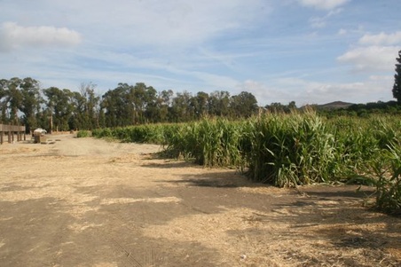 Enlarge photo 243