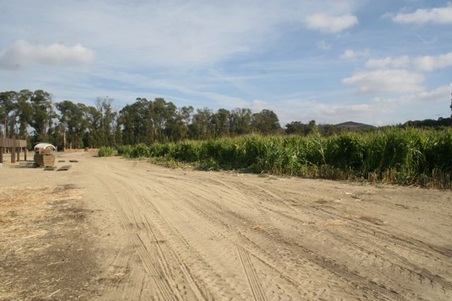 Enlarge photo 247