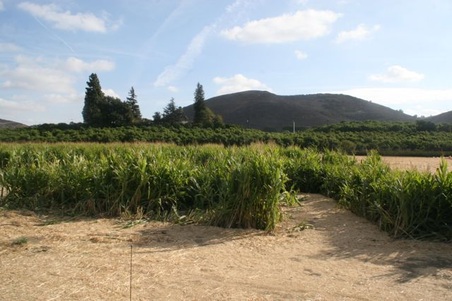 Enlarge photo 251