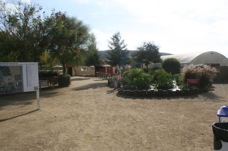 Enlarge photo 261