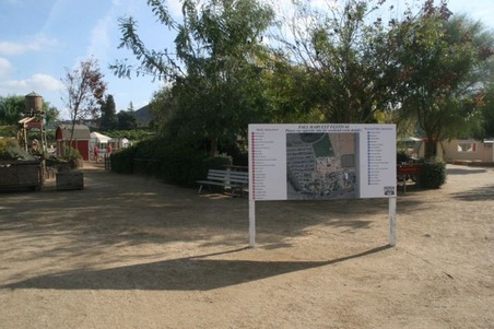 Enlarge photo 262