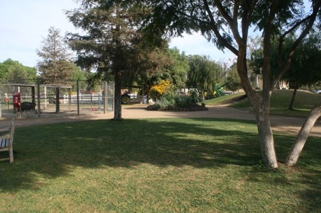 Enlarge photo 267