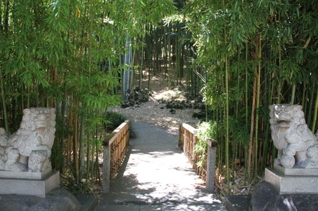 Huntington Gardens