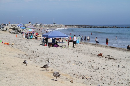 Enlarge photo 22