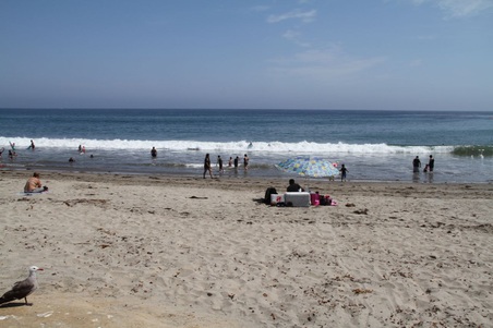 Enlarge photo 24
