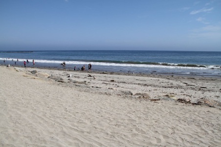 Enlarge photo 28