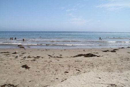 Enlarge photo 33