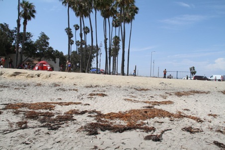 Enlarge photo 37