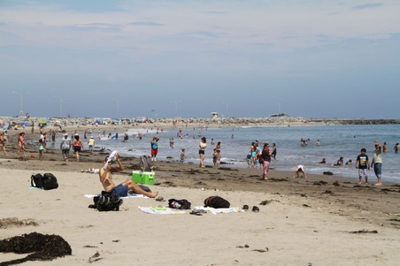 Enlarge photo 40