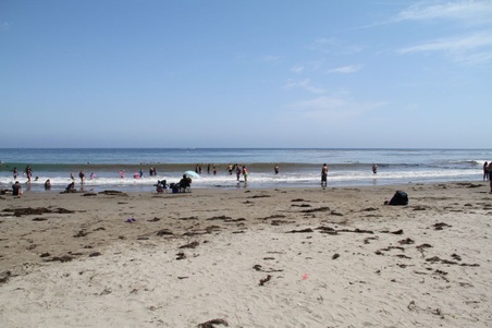 Enlarge photo 42
