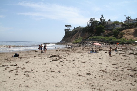Enlarge photo 43