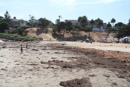 Enlarge photo 44