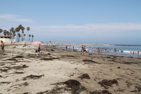 Enlarge photo 48