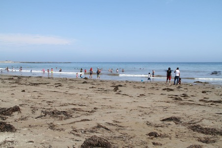 Enlarge photo 49