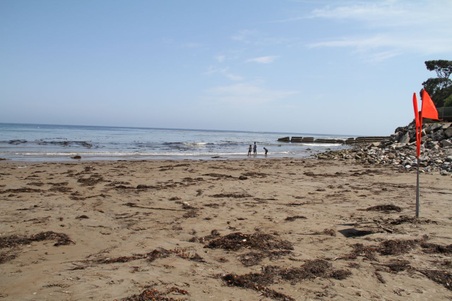Enlarge photo 50