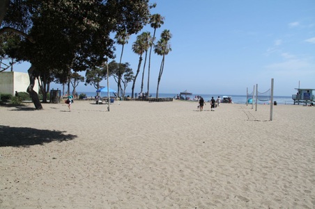 Enlarge photo 51