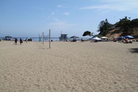 Enlarge photo 52