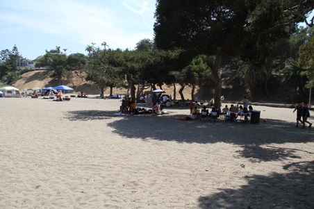 Enlarge photo 53