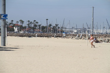 Enlarge photo 55
