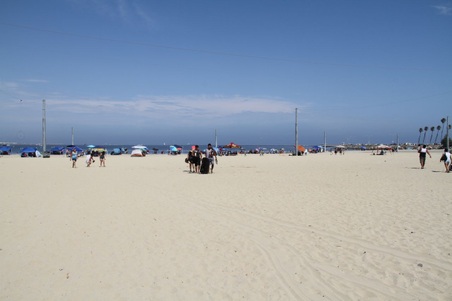 Enlarge photo 58