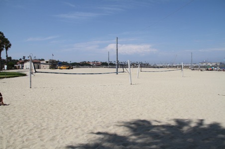 Enlarge photo 60