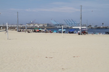 Enlarge photo 61