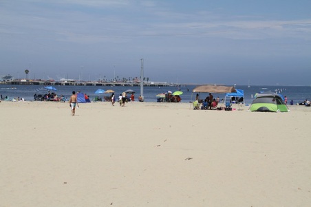 Enlarge photo 62