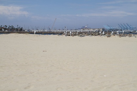 Enlarge photo 65