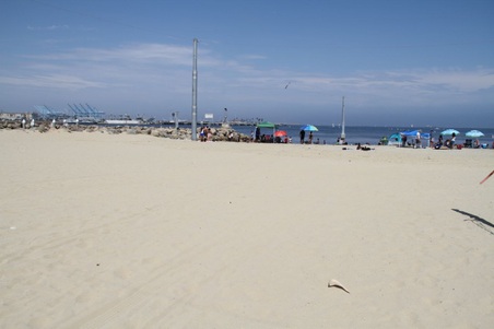 Enlarge photo 66