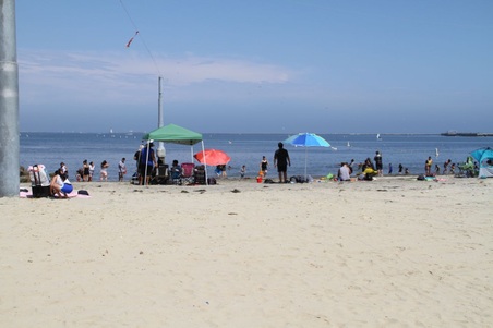Enlarge photo 67