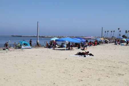 Enlarge photo 68
