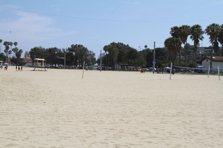 Enlarge photo 71