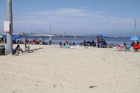 Enlarge photo 76