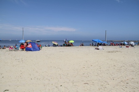 Enlarge photo 77