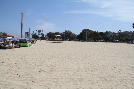 Enlarge photo 79