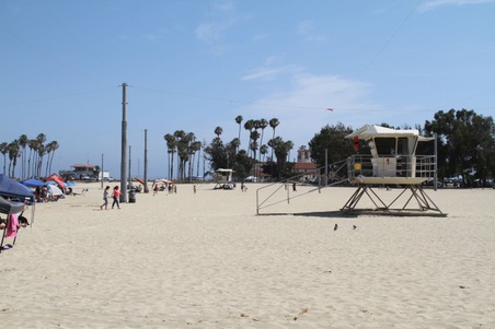Enlarge photo 82