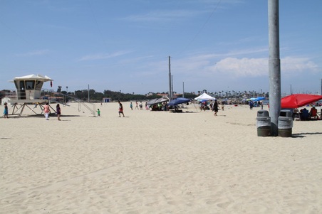 Enlarge photo 83