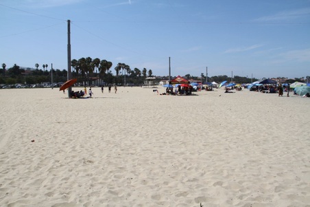 Enlarge photo 93