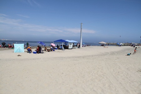 Enlarge photo 96
