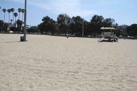 Enlarge photo 99