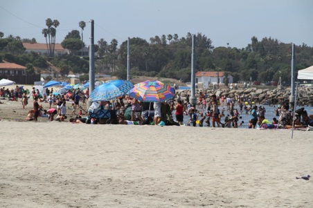 Enlarge photo 103