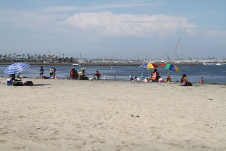 Enlarge photo 105