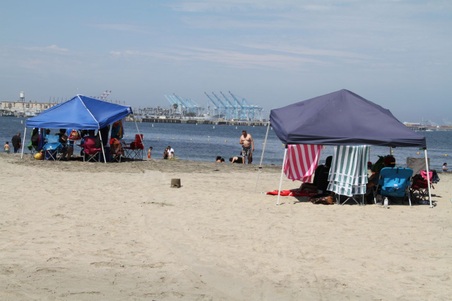 Enlarge photo 106