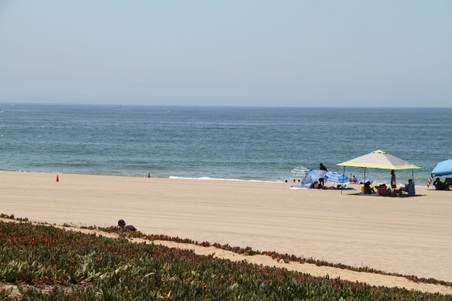 Enlarge photo 32