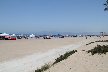 Enlarge photo 40