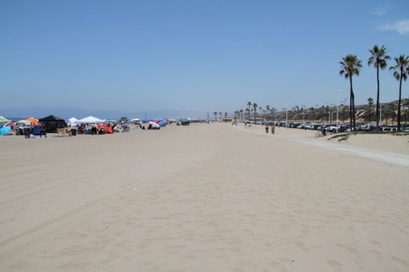 Enlarge photo 45