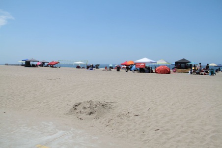 Enlarge photo 46