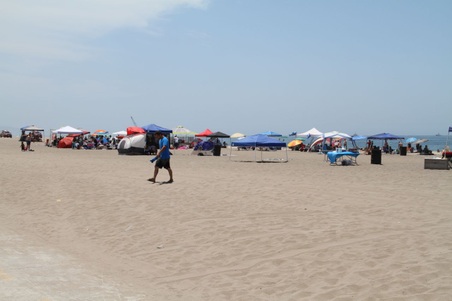 Enlarge photo 52