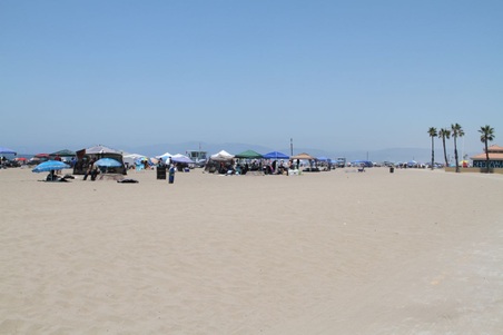 Enlarge photo 63