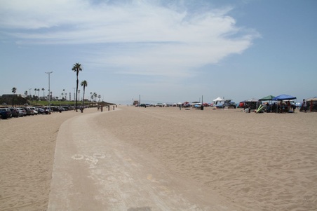 Enlarge photo 65
